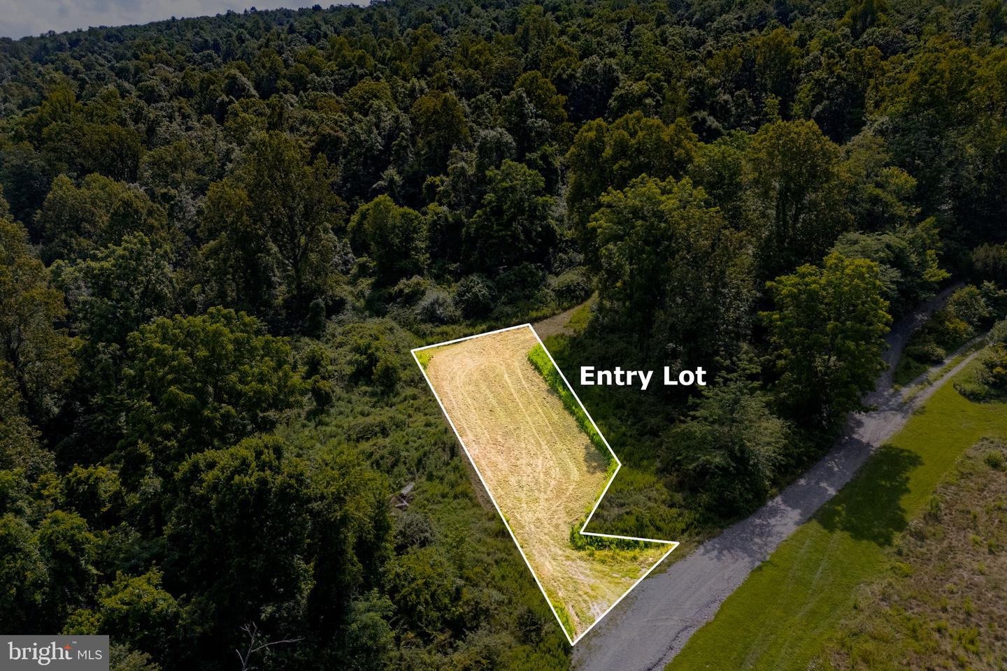 TREE CROPS LANE, ROUND HILL, Virginia 20141, ,Farm,For Sale,TREE CROPS LANE,VALO2102978 MLS # VALO2102978