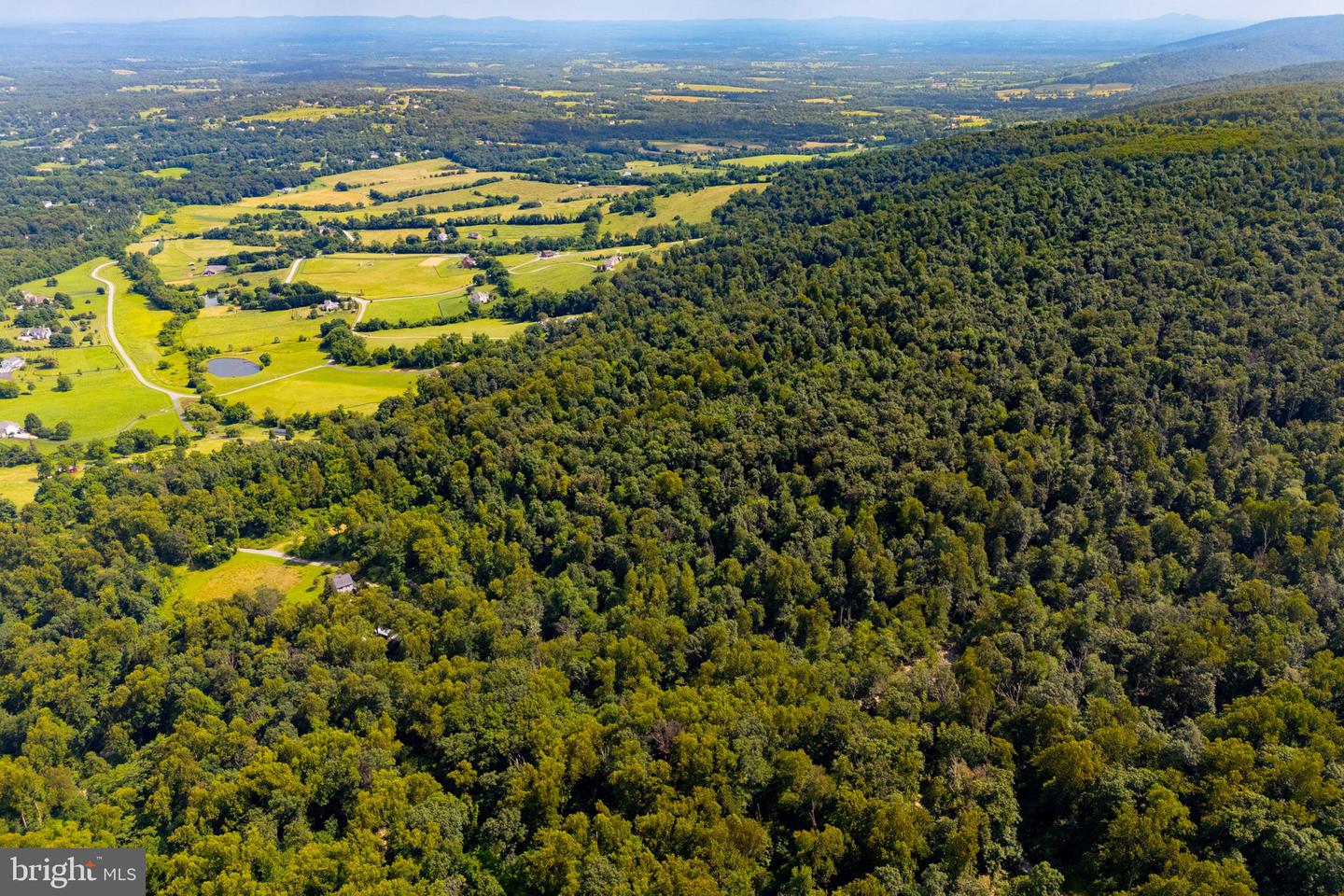 TREE CROPS LANE, ROUND HILL, Virginia 20141, ,Farm,For Sale,TREE CROPS LANE,VALO2102978 MLS # VALO2102978