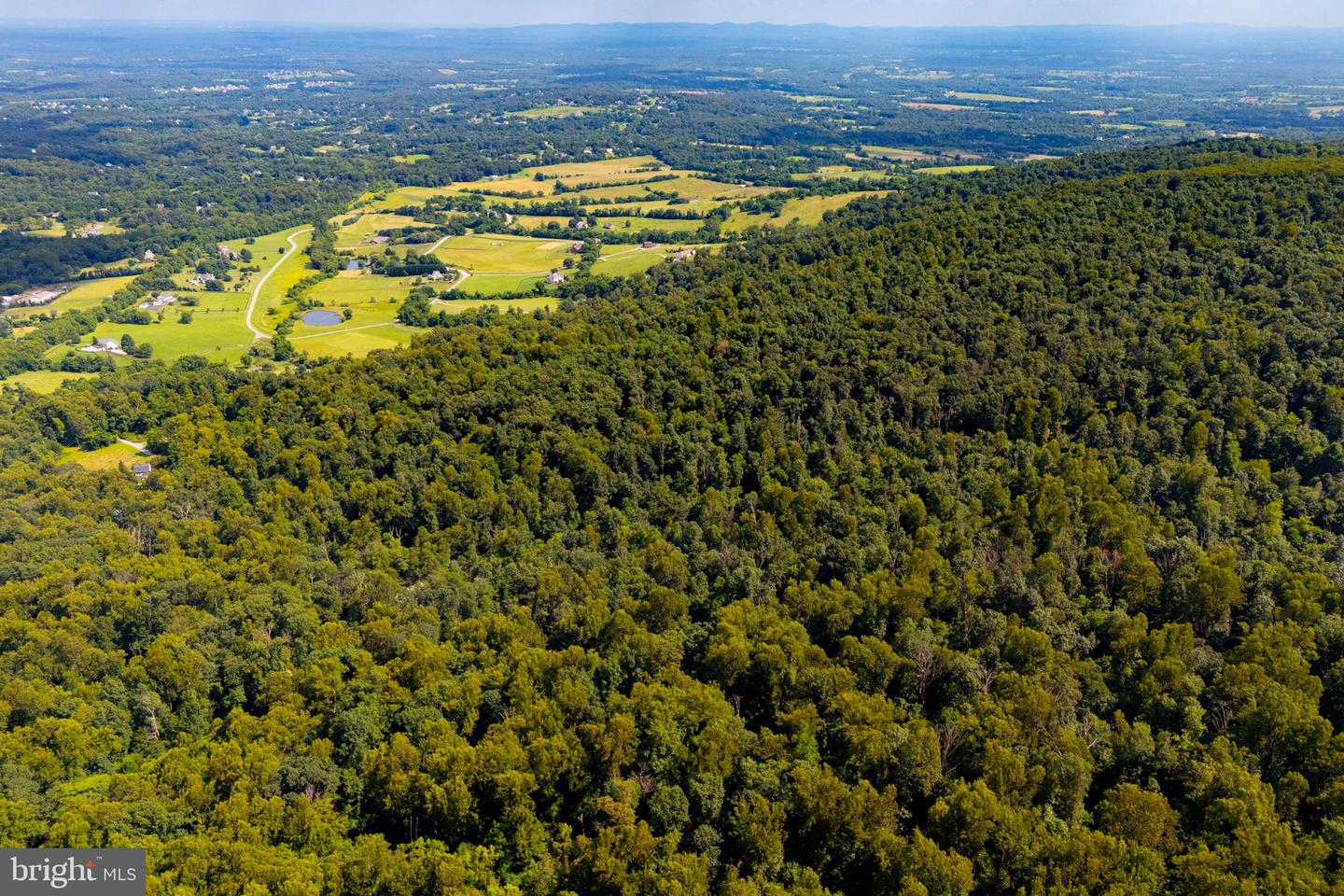 TREE CROPS LANE, ROUND HILL, Virginia 20141, ,Farm,For Sale,TREE CROPS LANE,VALO2102978 MLS # VALO2102978