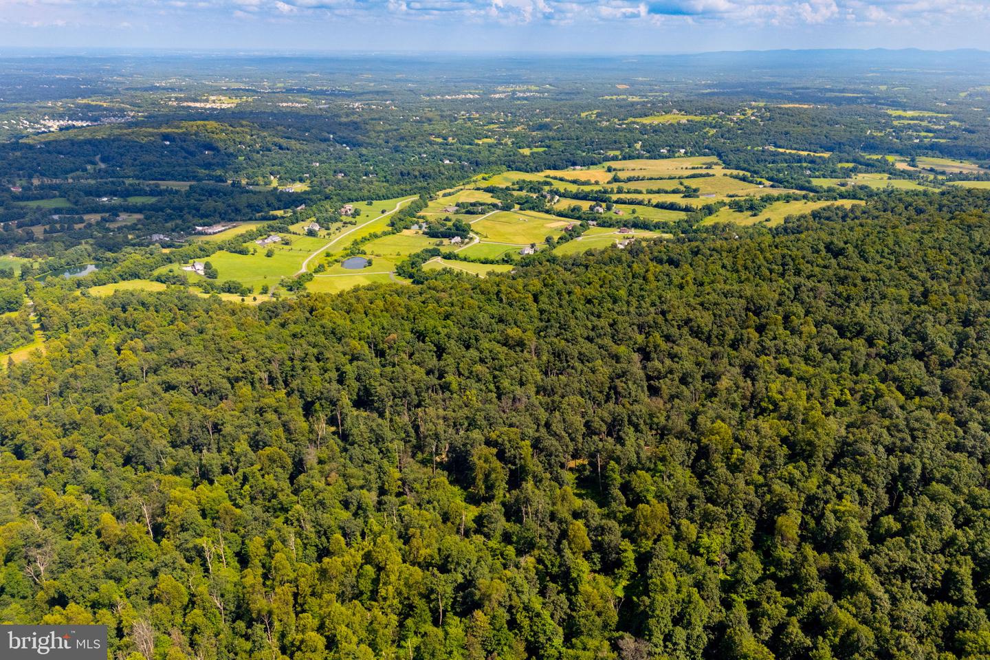 TREE CROPS LANE, ROUND HILL, Virginia 20141, ,Farm,For Sale,TREE CROPS LANE,VALO2102978 MLS # VALO2102978