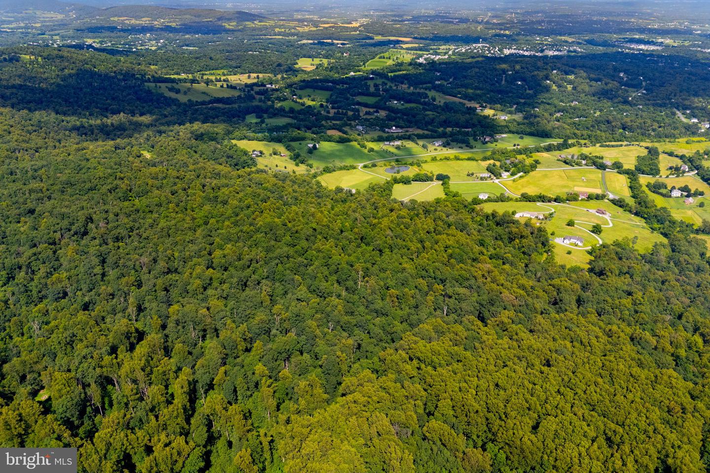 TREE CROPS LANE, ROUND HILL, Virginia 20141, ,Farm,For Sale,TREE CROPS LANE,VALO2102978 MLS # VALO2102978