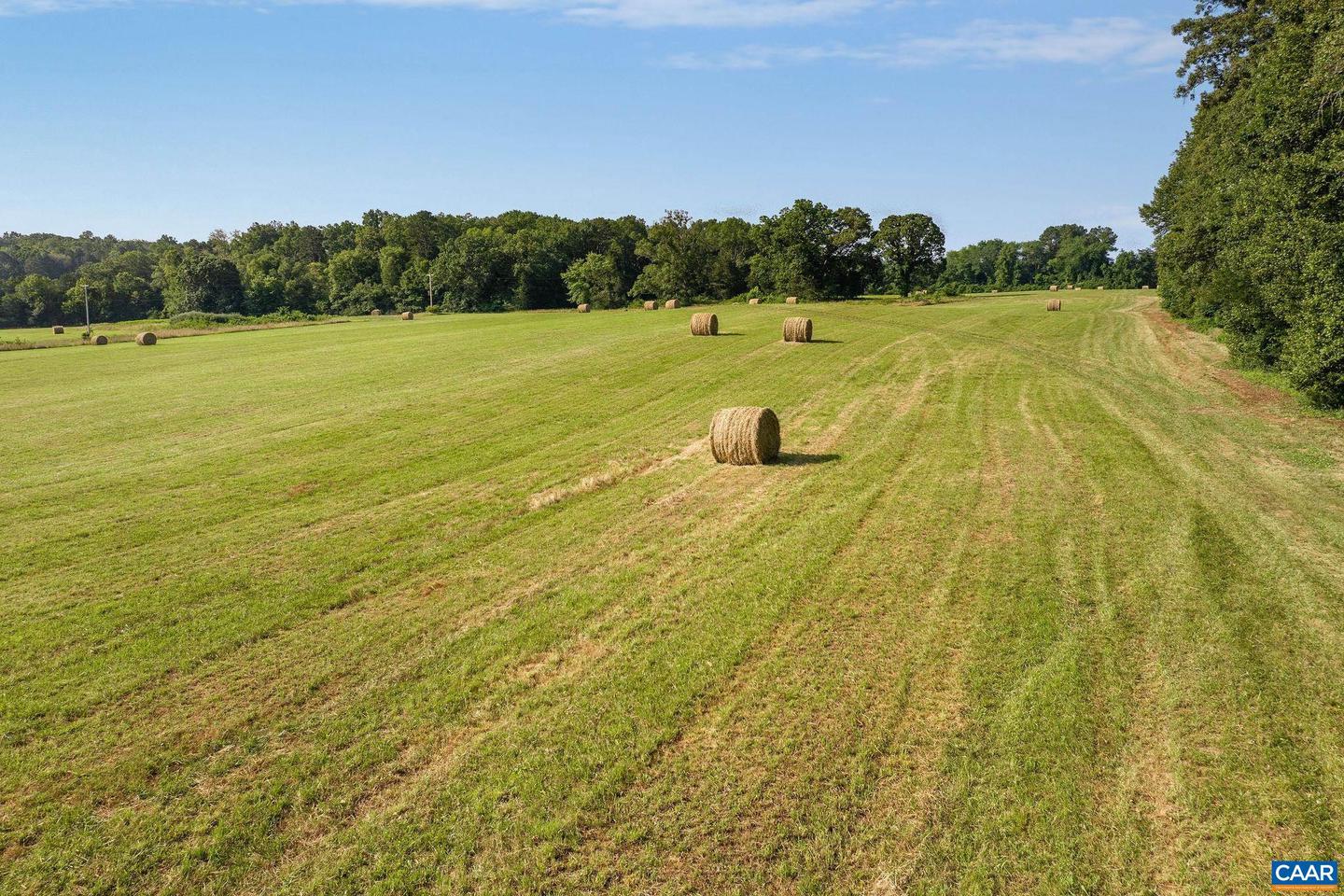 76.99 ACRES COLES ROLLING RD, SCOTTSVILLE, Virginia 24590, ,Farm,For Sale,76.99 ACRES COLES ROLLING RD,666864 MLS # 666864 76.99 ACRES COLES ROLLING RD, SCOTTSVILLE, Virginia 24590, ,Farm,For Sale,76.99 ACRES COLES ROLLING RD,666864 MLS # 666864