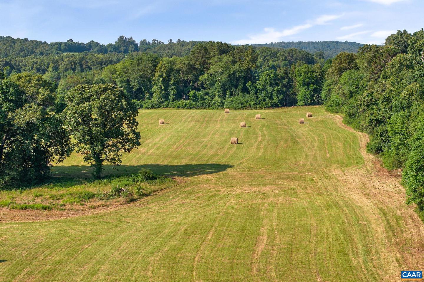 76.99 ACRES COLES ROLLING RD, SCOTTSVILLE, Virginia 24590, ,Farm,For Sale,76.99 ACRES COLES ROLLING RD,666864 MLS # 666864 76.99 ACRES COLES ROLLING RD, SCOTTSVILLE, Virginia 24590, ,Farm,For Sale,76.99 ACRES COLES ROLLING RD,666864 MLS # 666864