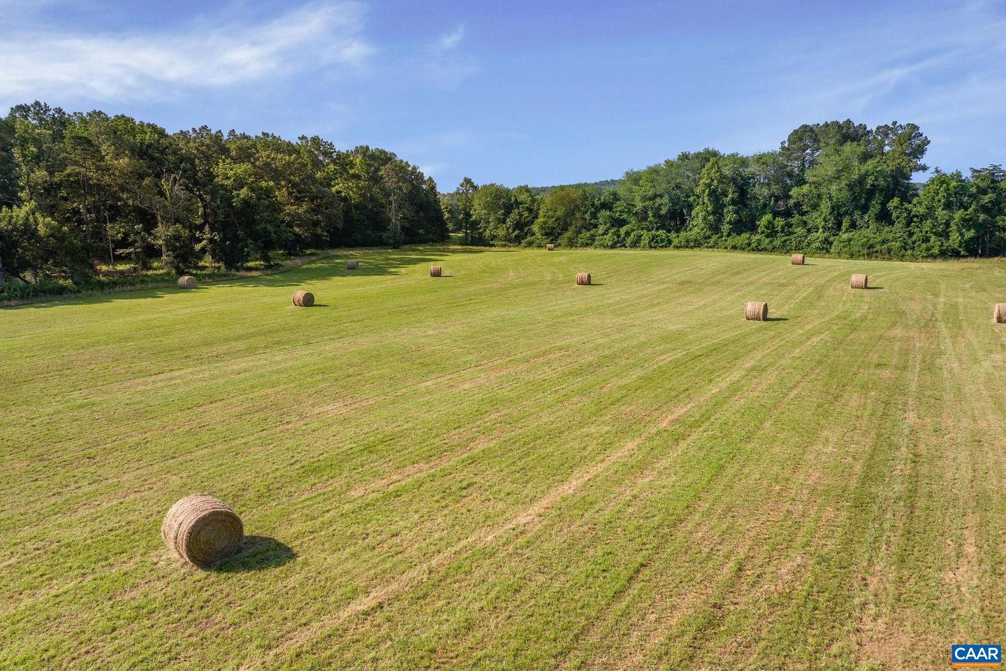 76.99 ACRES COLES ROLLING RD, SCOTTSVILLE, Virginia 24590, ,Farm,For Sale,76.99 ACRES COLES ROLLING RD,666864 MLS # 666864 76.99 ACRES COLES ROLLING RD, SCOTTSVILLE, Virginia 24590, ,Farm,For Sale,76.99 ACRES COLES ROLLING RD,666864 MLS # 666864