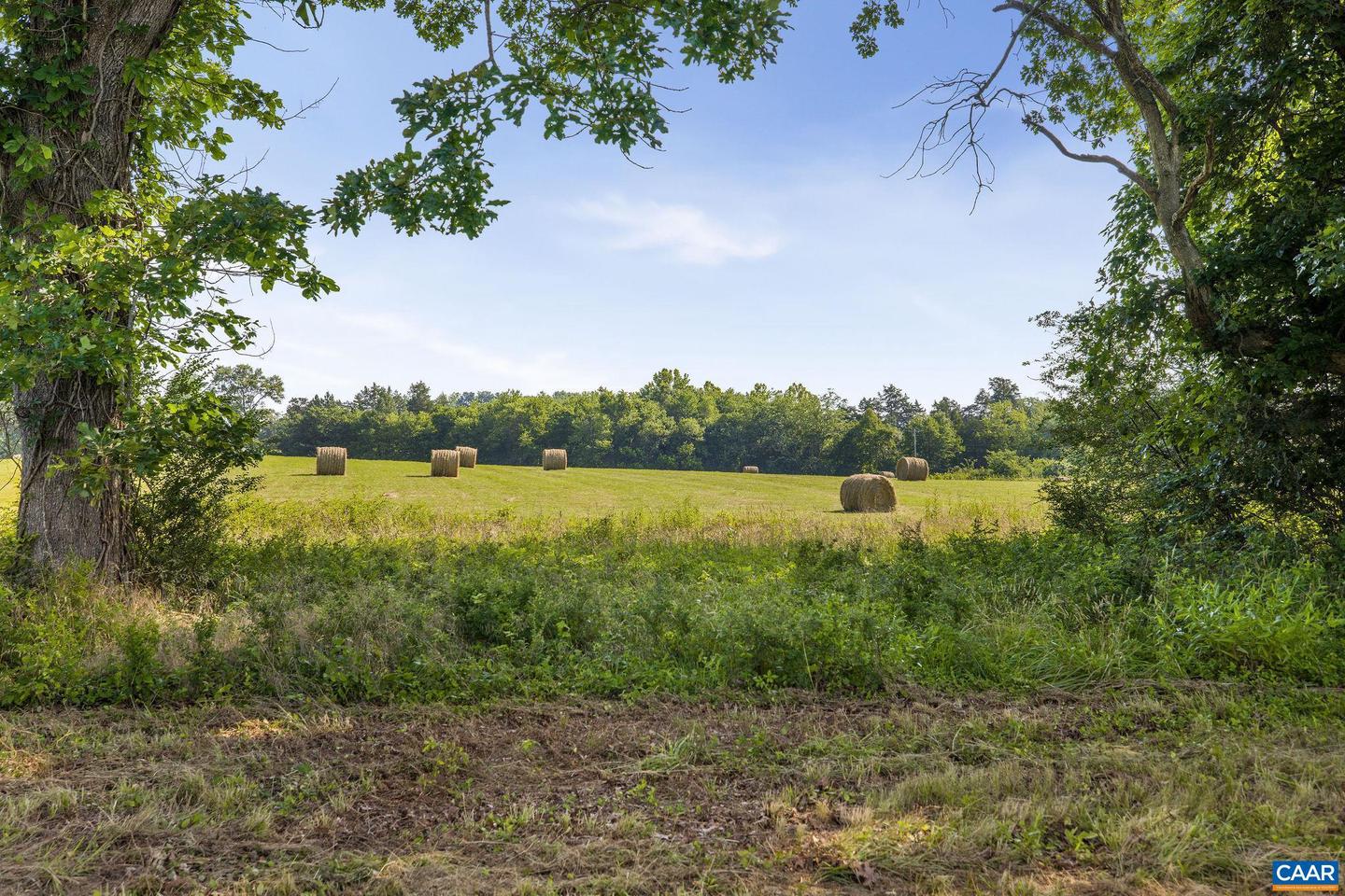 76.99 ACRES COLES ROLLING RD, SCOTTSVILLE, Virginia 24590, ,Farm,For Sale,76.99 ACRES COLES ROLLING RD,666864 MLS # 666864 76.99 ACRES COLES ROLLING RD, SCOTTSVILLE, Virginia 24590, ,Farm,For Sale,76.99 ACRES COLES ROLLING RD,666864 MLS # 666864
