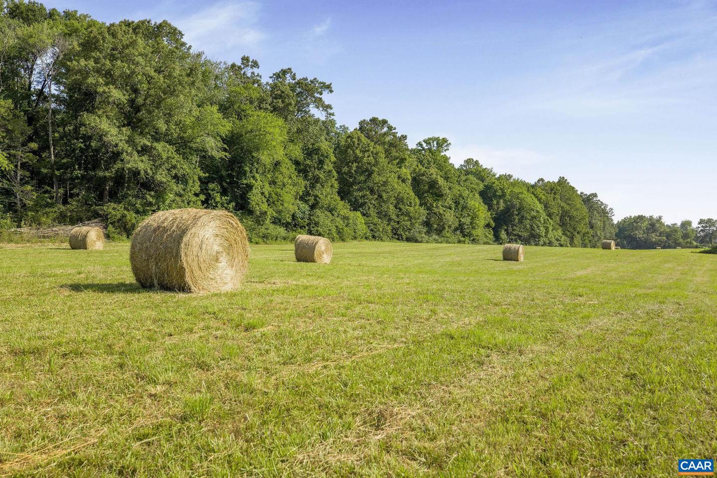 76.99 ACRES COLES ROLLING RD, SCOTTSVILLE, Virginia 24590, ,Farm,For Sale,76.99 ACRES COLES ROLLING RD,666864 MLS # 666864 76.99 ACRES COLES ROLLING RD, SCOTTSVILLE, Virginia 24590, ,Farm,For Sale,76.99 ACRES COLES ROLLING RD,666864 MLS # 666864