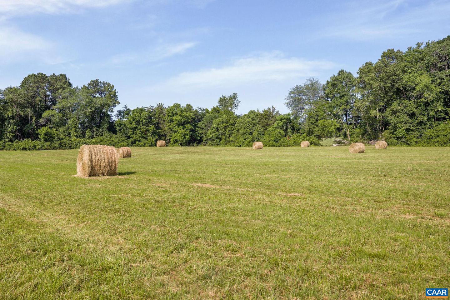 76.99 ACRES COLES ROLLING RD, SCOTTSVILLE, Virginia 24590, ,Farm,For Sale,76.99 ACRES COLES ROLLING RD,666864 MLS # 666864 76.99 ACRES COLES ROLLING RD, SCOTTSVILLE, Virginia 24590, ,Farm,For Sale,76.99 ACRES COLES ROLLING RD,666864 MLS # 666864