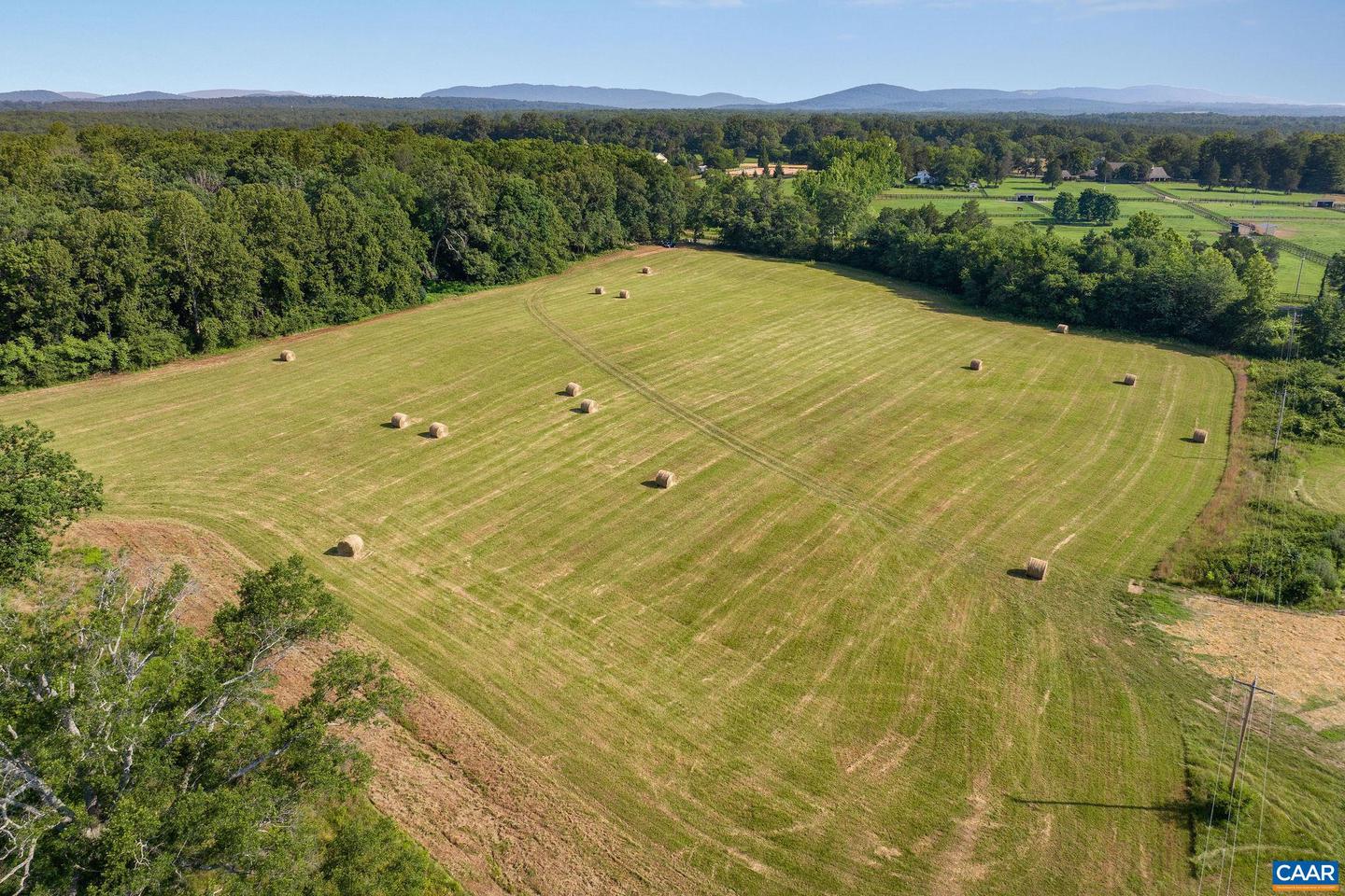 76.99 ACRES COLES ROLLING RD, SCOTTSVILLE, Virginia 24590, ,Farm,For Sale,76.99 ACRES COLES ROLLING RD,666864 MLS # 666864 76.99 ACRES COLES ROLLING RD, SCOTTSVILLE, Virginia 24590, ,Farm,For Sale,76.99 ACRES COLES ROLLING RD,666864 MLS # 666864