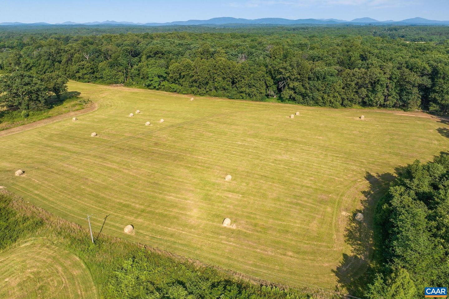 76.99 ACRES COLES ROLLING RD, SCOTTSVILLE, Virginia 24590, ,Farm,For Sale,76.99 ACRES COLES ROLLING RD,666864 MLS # 666864 76.99 ACRES COLES ROLLING RD, SCOTTSVILLE, Virginia 24590, ,Farm,For Sale,76.99 ACRES COLES ROLLING RD,666864 MLS # 666864
