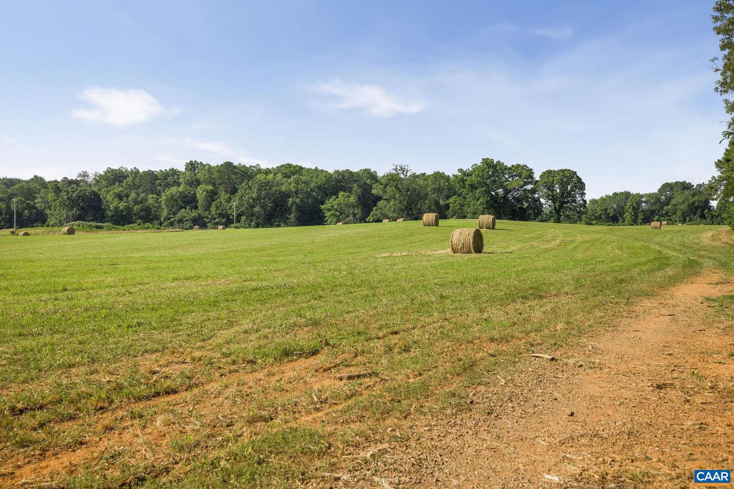 76.99 ACRES COLES ROLLING RD, SCOTTSVILLE, Virginia 24590, ,Farm,For Sale,76.99 ACRES COLES ROLLING RD,666864 MLS # 666864 76.99 ACRES COLES ROLLING RD, SCOTTSVILLE, Virginia 24590, ,Farm,For Sale,76.99 ACRES COLES ROLLING RD,666864 MLS # 666864