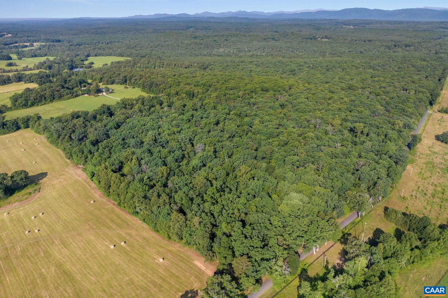76.99 ACRES COLES ROLLING RD, SCOTTSVILLE, Virginia 24590, ,Farm,For Sale,76.99 ACRES COLES ROLLING RD,666864 MLS # 666864 76.99 ACRES COLES ROLLING RD, SCOTTSVILLE, Virginia 24590, ,Farm,For Sale,76.99 ACRES COLES ROLLING RD,666864 MLS # 666864