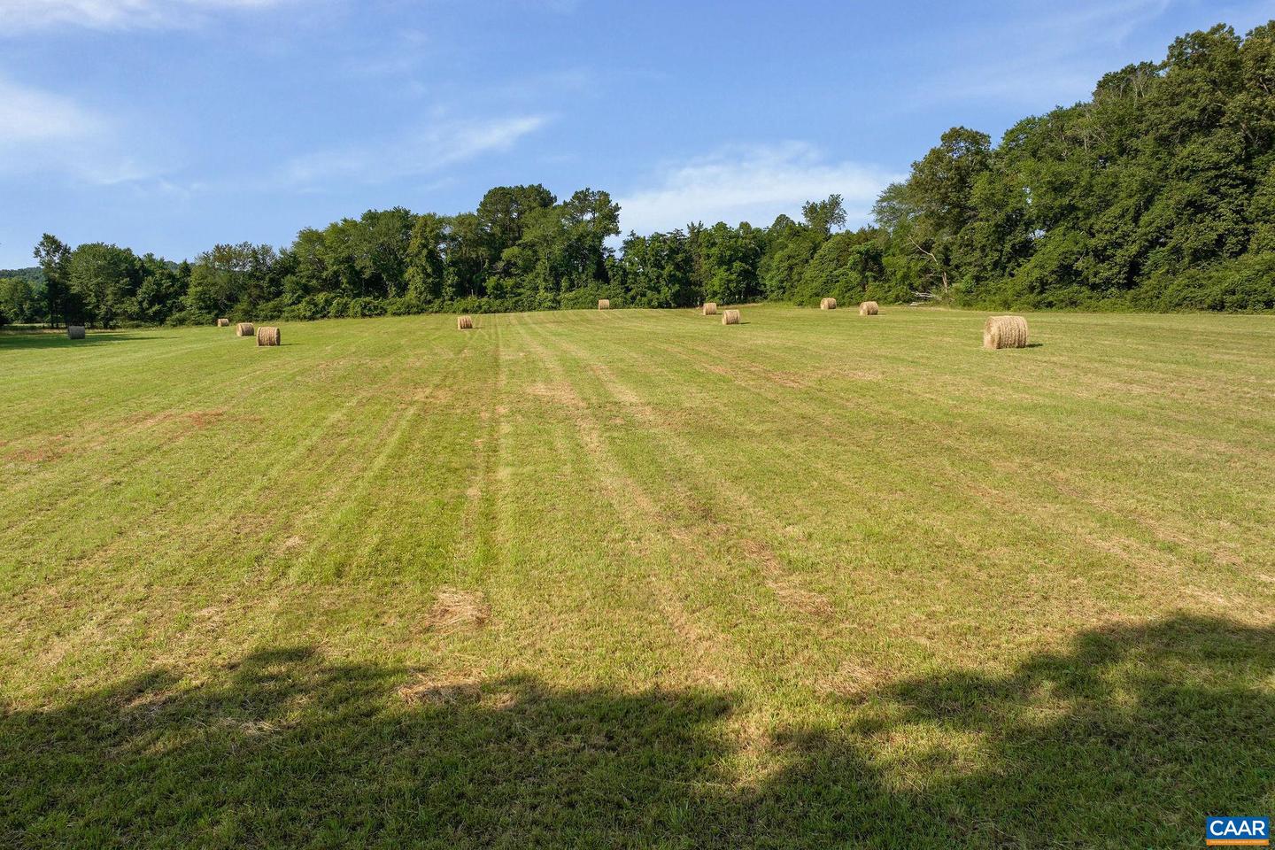 76.99 ACRES COLES ROLLING RD, SCOTTSVILLE, Virginia 24590, ,Farm,For Sale,76.99 ACRES COLES ROLLING RD,666864 MLS # 666864 76.99 ACRES COLES ROLLING RD, SCOTTSVILLE, Virginia 24590, ,Farm,For Sale,76.99 ACRES COLES ROLLING RD,666864 MLS # 666864