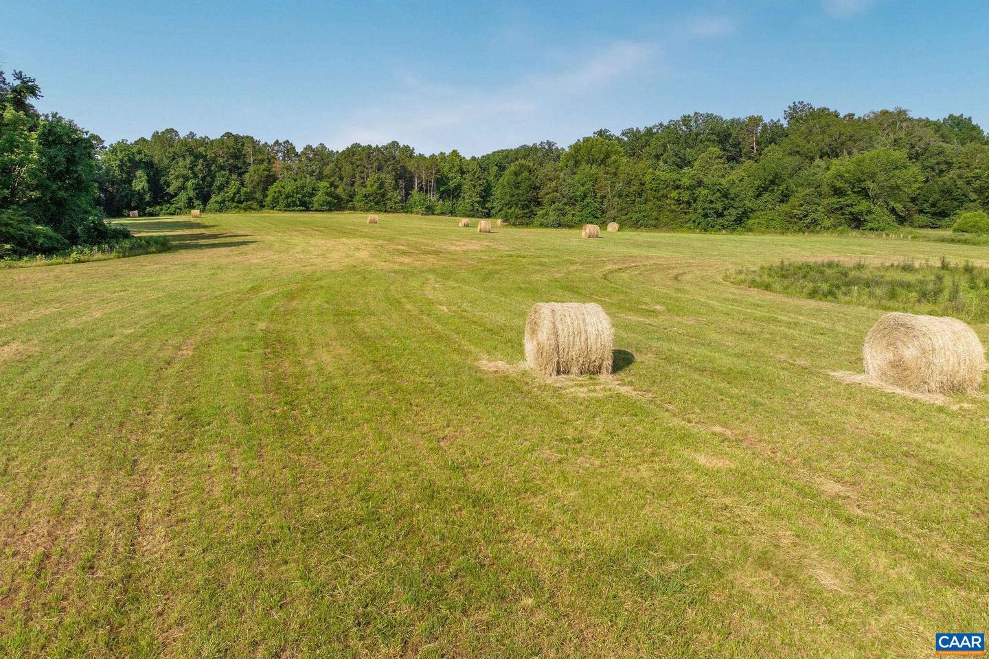 76.99 ACRES COLES ROLLING RD, SCOTTSVILLE, Virginia 24590, ,Farm,For Sale,76.99 ACRES COLES ROLLING RD,666864 MLS # 666864 76.99 ACRES COLES ROLLING RD, SCOTTSVILLE, Virginia 24590, ,Farm,For Sale,76.99 ACRES COLES ROLLING RD,666864 MLS # 666864