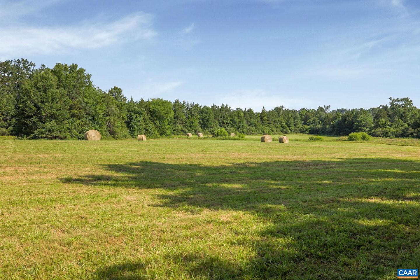 76.99 ACRES COLES ROLLING RD, SCOTTSVILLE, Virginia 24590, ,Farm,For Sale,76.99 ACRES COLES ROLLING RD,666864 MLS # 666864 76.99 ACRES COLES ROLLING RD, SCOTTSVILLE, Virginia 24590, ,Farm,For Sale,76.99 ACRES COLES ROLLING RD,666864 MLS # 666864