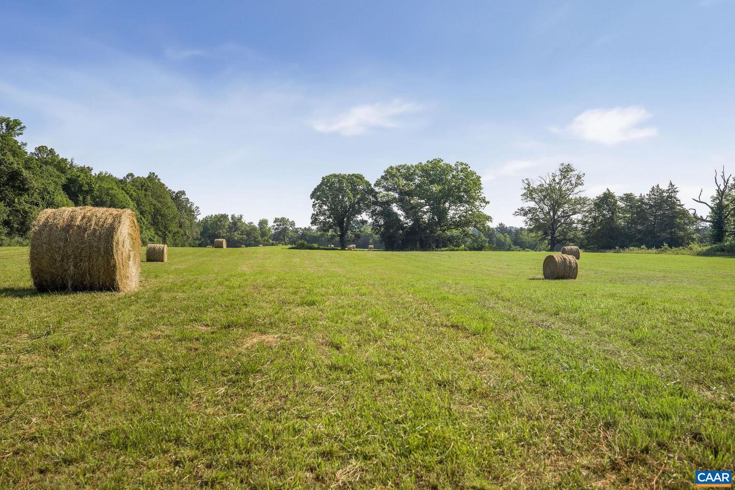 76.99 ACRES COLES ROLLING RD, SCOTTSVILLE, Virginia 24590, ,Farm,For Sale,76.99 ACRES COLES ROLLING RD,666864 MLS # 666864 76.99 ACRES COLES ROLLING RD, SCOTTSVILLE, Virginia 24590, ,Farm,For Sale,76.99 ACRES COLES ROLLING RD,666864 MLS # 666864
