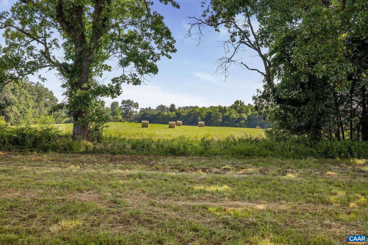 76.99 ACRES COLES ROLLING RD, SCOTTSVILLE, Virginia 24590, ,Farm,For Sale,76.99 ACRES COLES ROLLING RD,666864 MLS # 666864 76.99 ACRES COLES ROLLING RD, SCOTTSVILLE, Virginia 24590, ,Farm,For Sale,76.99 ACRES COLES ROLLING RD,666864 MLS # 666864