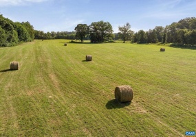 76.99 ACRES COLES ROLLING RD, SCOTTSVILLE, Virginia 24590, ,Farm,For Sale,76.99 ACRES COLES ROLLING RD,666864 MLS # 666864 76.99 ACRES COLES ROLLING RD, SCOTTSVILLE, Virginia 24590, ,Farm,For Sale,76.99 ACRES COLES ROLLING RD,666864 MLS # 666864