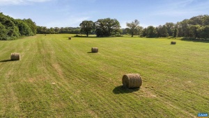 76.99 ACRES COLES ROLLING RD, SCOTTSVILLE, Virginia 24590, ,Farm,For Sale,76.99 ACRES COLES ROLLING RD,666864 MLS # 666864