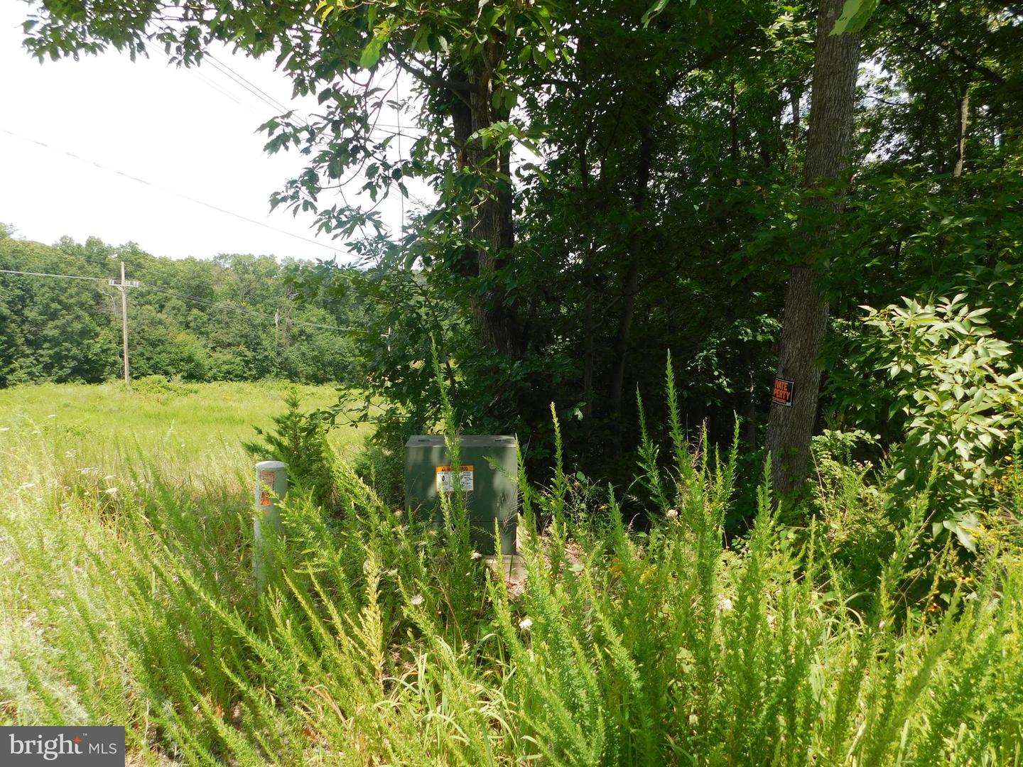 0 LARKIN RIDGE RD, FRONT ROYAL, Virginia 22630, ,Land,For Sale,0 LARKIN RIDGE RD,VAWR2011810 MLS # VAWR2011810 0 LARKIN RIDGE RD, FRONT ROYAL, Virginia 22630, ,Land,For Sale,0 LARKIN RIDGE RD,VAWR2011810 MLS # VAWR2011810