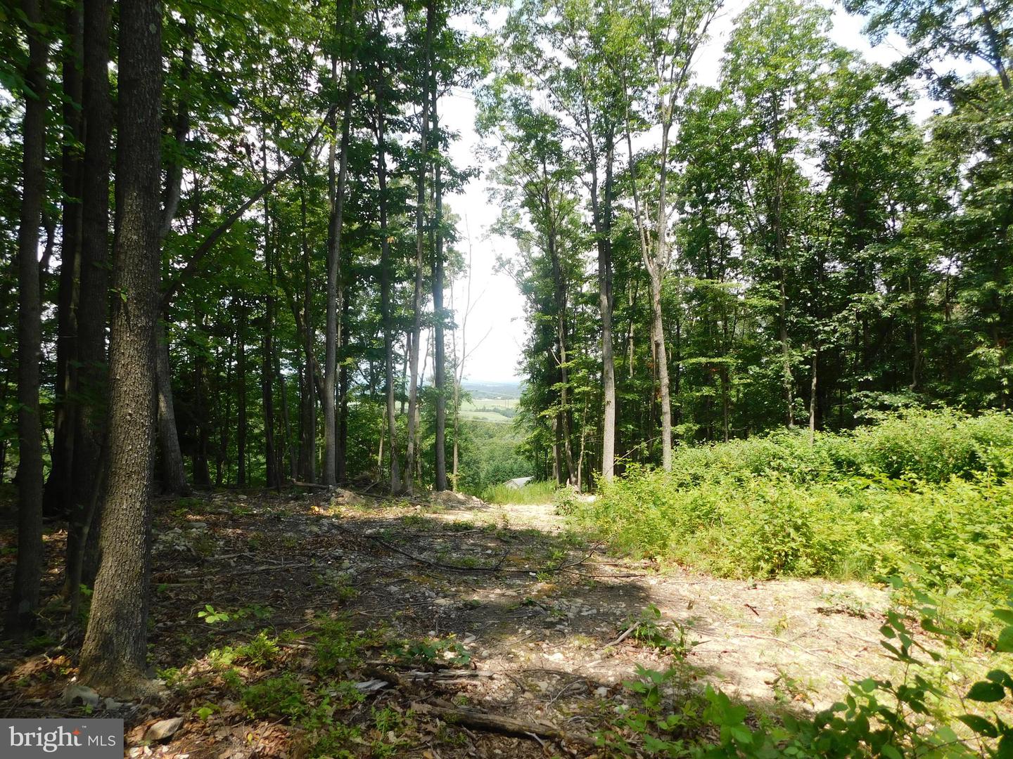 0 LARKIN RIDGE RD, FRONT ROYAL, Virginia 22630, ,Land,For Sale,0 LARKIN RIDGE RD,VAWR2011810 MLS # VAWR2011810 0 LARKIN RIDGE RD, FRONT ROYAL, Virginia 22630, ,Land,For Sale,0 LARKIN RIDGE RD,VAWR2011810 MLS # VAWR2011810