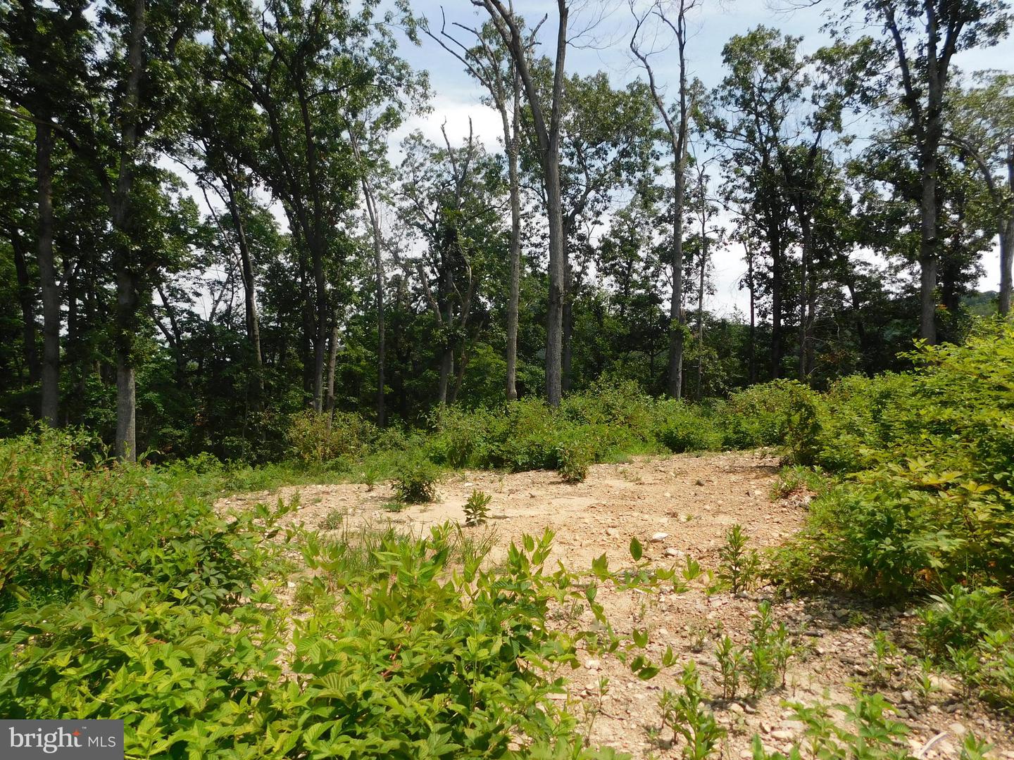 0 LARKIN RIDGE RD, FRONT ROYAL, Virginia 22630, ,Land,For Sale,0 LARKIN RIDGE RD,VAWR2011810 MLS # VAWR2011810 0 LARKIN RIDGE RD, FRONT ROYAL, Virginia 22630, ,Land,For Sale,0 LARKIN RIDGE RD,VAWR2011810 MLS # VAWR2011810