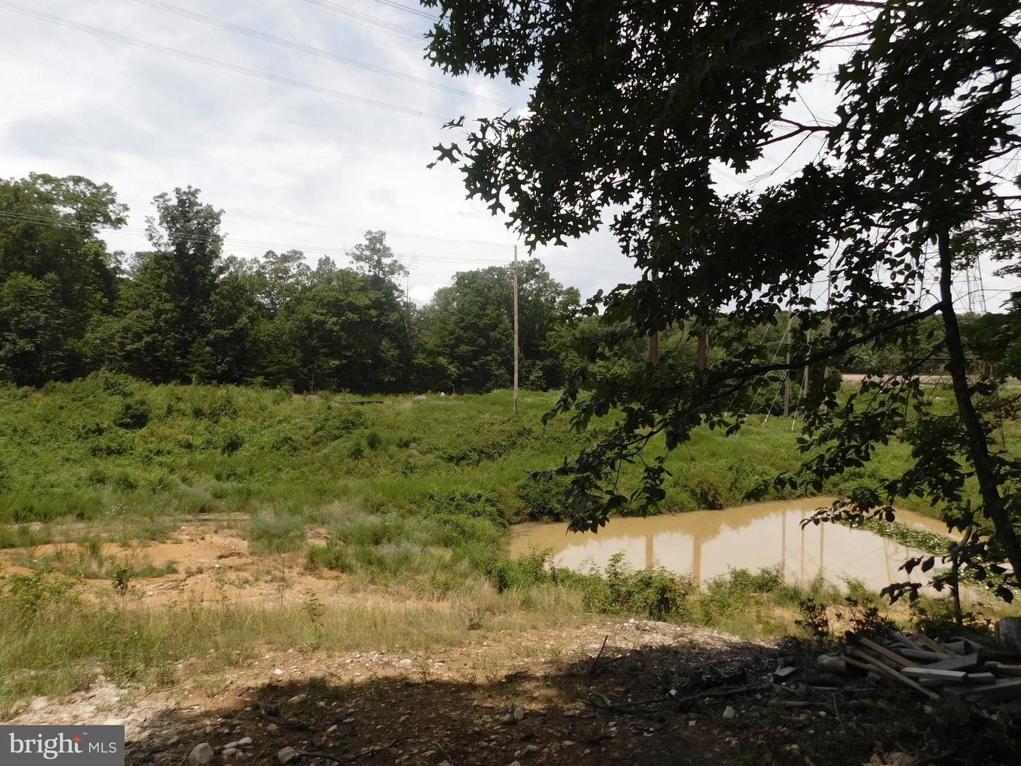 0 LARKIN RIDGE RD, FRONT ROYAL, Virginia 22630, ,Land,For Sale,0 LARKIN RIDGE RD,VAWR2011810 MLS # VAWR2011810 0 LARKIN RIDGE RD, FRONT ROYAL, Virginia 22630, ,Land,For Sale,0 LARKIN RIDGE RD,VAWR2011810 MLS # VAWR2011810