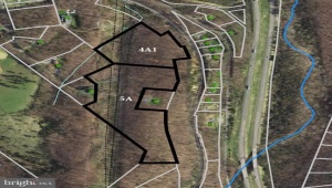 0 LARKIN RIDGE RD, FRONT ROYAL, Virginia 22630, ,Land,For Sale,0 LARKIN RIDGE RD,VAWR2011810 MLS # VAWR2011810