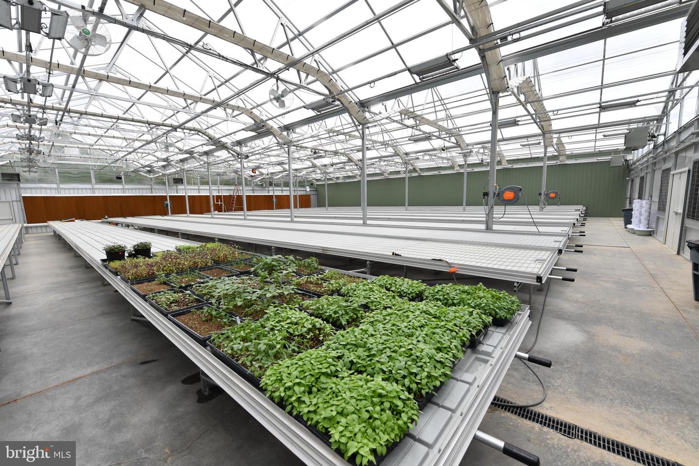 1070 WADESVILLE RD, BERRYVILLE, Virginia 22611, ,Farm,For Sale,1070 WADESVILLE RD,VACL2005912 MLS # VACL2005912