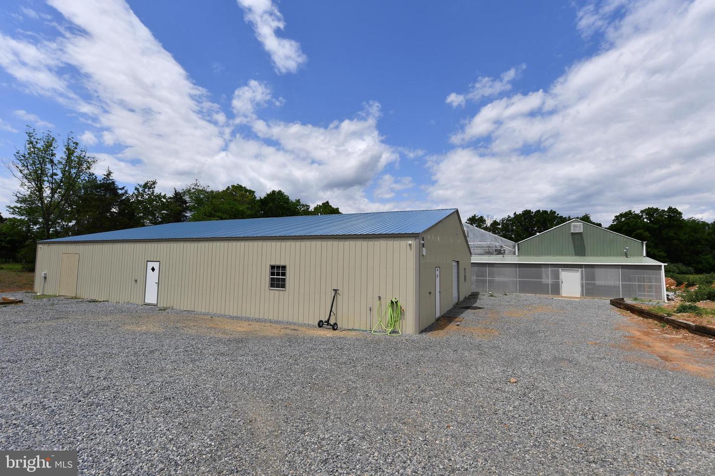 1070 WADESVILLE RD, BERRYVILLE, Virginia 22611, ,Farm,For Sale,1070 WADESVILLE RD,VACL2005912 MLS # VACL2005912