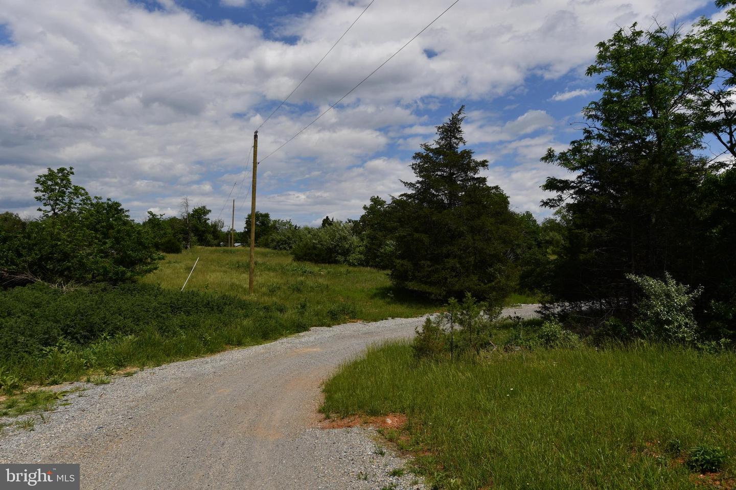 1070 WADESVILLE RD, BERRYVILLE, Virginia 22611, ,Farm,For Sale,1070 WADESVILLE RD,VACL2005912 MLS # VACL2005912