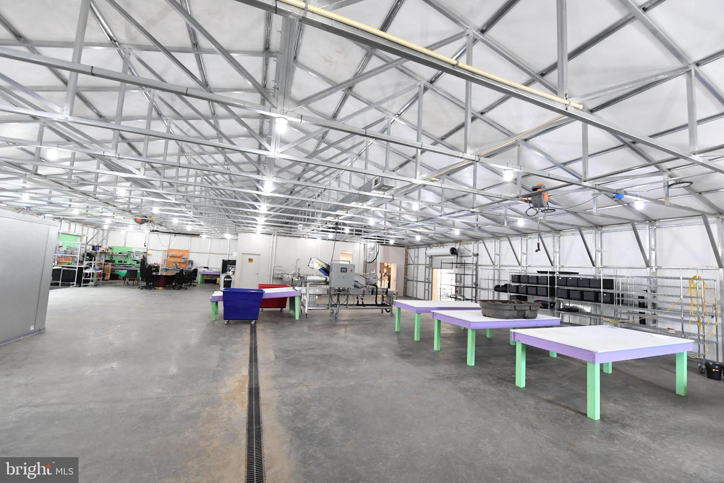 1070 WADESVILLE RD, BERRYVILLE, Virginia 22611, ,Farm,For Sale,1070 WADESVILLE RD,VACL2005912 MLS # VACL2005912