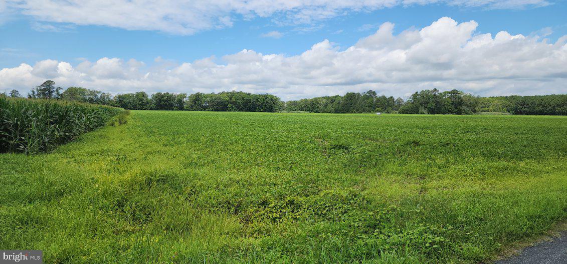 BULLBEGGER RD, WITHAMS, Virginia 23488, ,Land,For Sale,BULLBEGGER RD,VAAC2002106 MLS # VAAC2002106 BULLBEGGER RD, WITHAMS, Virginia 23488, ,Land,For Sale,BULLBEGGER RD,VAAC2002106 MLS # VAAC2002106