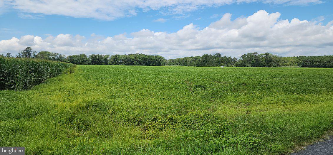 BULLBEGGER RD, WITHAMS, Virginia 23488, ,Land,For Sale,BULLBEGGER RD,VAAC2002106 MLS # VAAC2002106 BULLBEGGER RD, WITHAMS, Virginia 23488, ,Land,For Sale,BULLBEGGER RD,VAAC2002106 MLS # VAAC2002106
