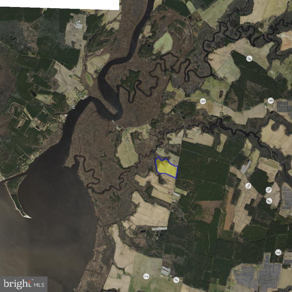 BULLBEGGER RD, WITHAMS, Virginia 23488, ,Land,For Sale,BULLBEGGER RD,VAAC2002106 MLS # VAAC2002106 BULLBEGGER RD, WITHAMS, Virginia 23488, ,Land,For Sale,BULLBEGGER RD,VAAC2002106 MLS # VAAC2002106