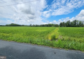 BULLBEGGER RD, WITHAMS, Virginia 23488, ,Land,For Sale,BULLBEGGER RD,VAAC2002106 MLS # VAAC2002106 BULLBEGGER RD, WITHAMS, Virginia 23488, ,Land,For Sale,BULLBEGGER RD,VAAC2002106 MLS # VAAC2002106