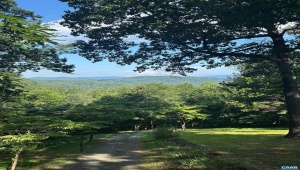 1950 LOCUST HOLLOW RD, CHARLOTTESVILLE, Virginia 22903, 3 Bedrooms Bedrooms, ,2 BathroomsBathrooms,Residential,For Sale,1950 LOCUST HOLLOW RD,667156 MLS # 667156