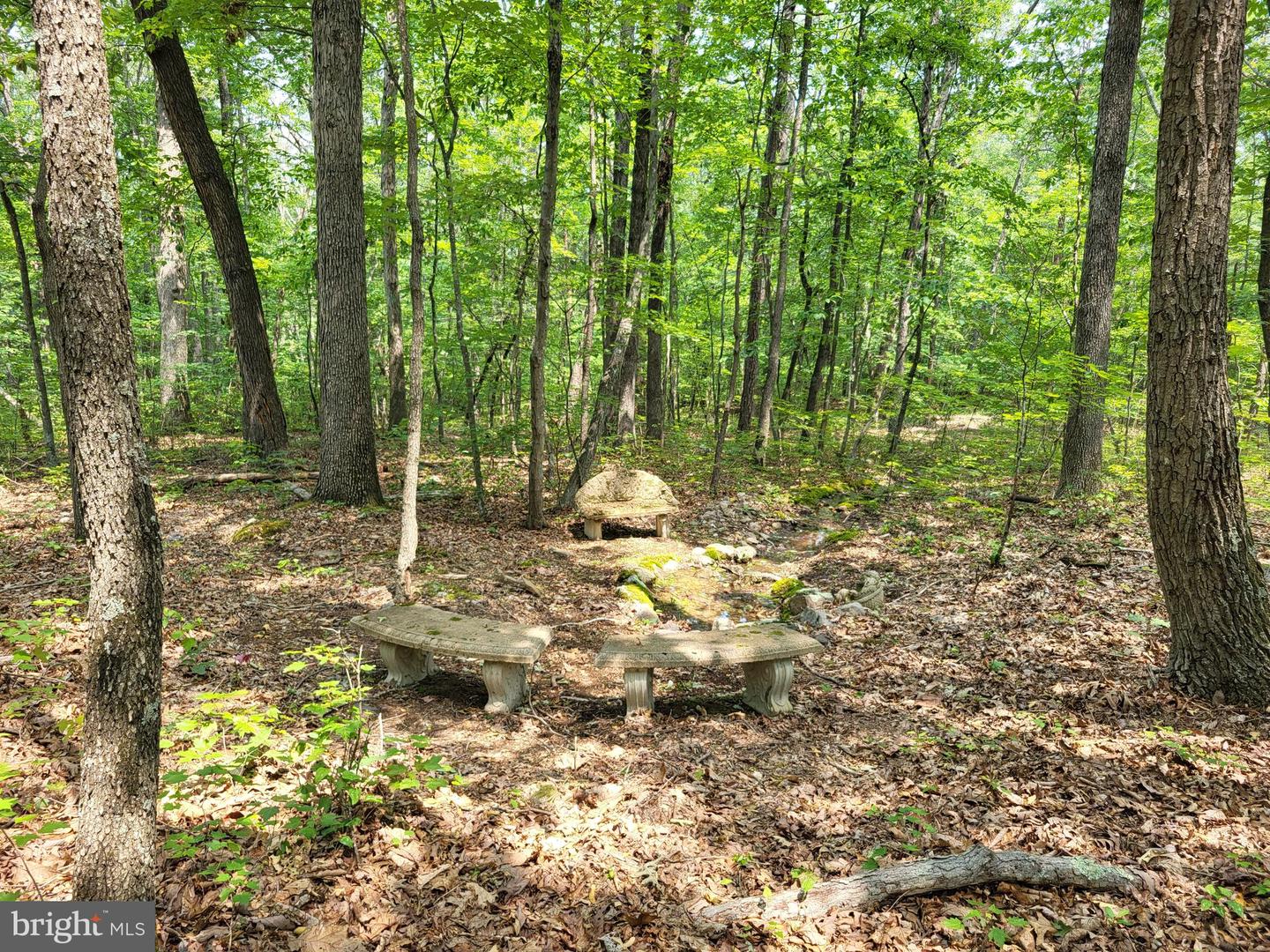 693 MANY WATER LANE, FORT VALLEY, Virginia 22652, 3 Bedrooms Bedrooms, ,2 BathroomsBathrooms,Residential,For Sale,693 MANY WATER LANE,VASH2012008 MLS # VASH2012008