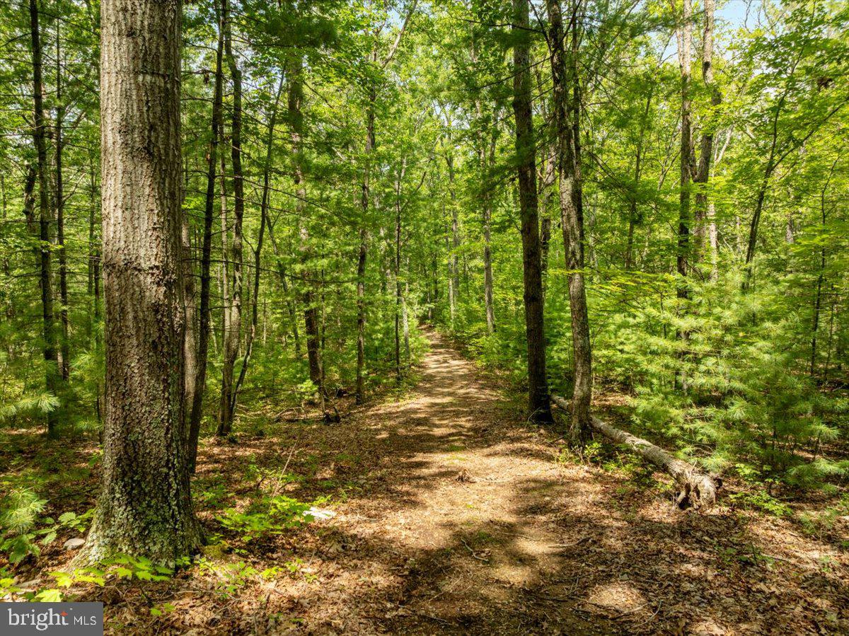 693 MANY WATER LANE, FORT VALLEY, Virginia 22652, 3 Bedrooms Bedrooms, ,2 BathroomsBathrooms,Residential,For Sale,693 MANY WATER LANE,VASH2012008 MLS # VASH2012008