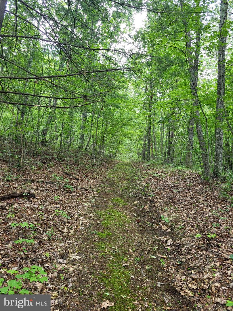 693 MANY WATER LANE, FORT VALLEY, Virginia 22652, 3 Bedrooms Bedrooms, ,2 BathroomsBathrooms,Residential,For Sale,693 MANY WATER LANE,VASH2012008 MLS # VASH2012008