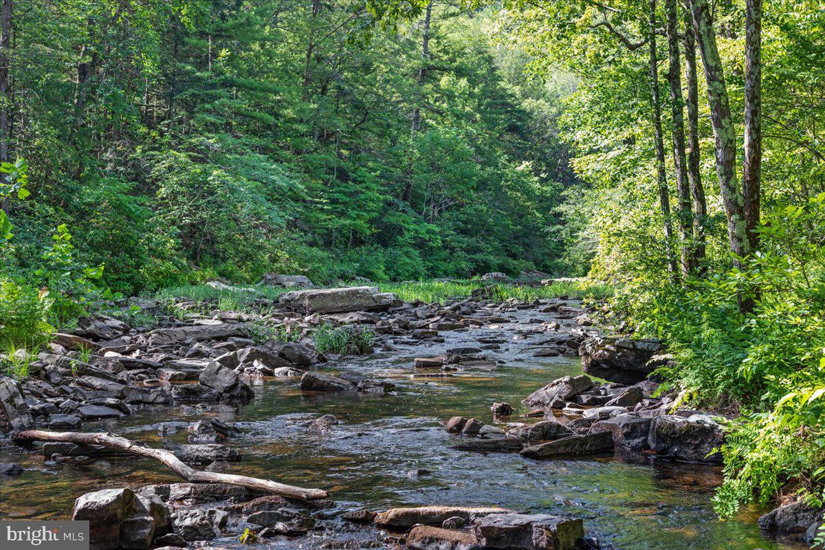 693 MANY WATER LANE, FORT VALLEY, Virginia 22652, 3 Bedrooms Bedrooms, ,2 BathroomsBathrooms,Residential,For Sale,693 MANY WATER LANE,VASH2012008 MLS # VASH2012008