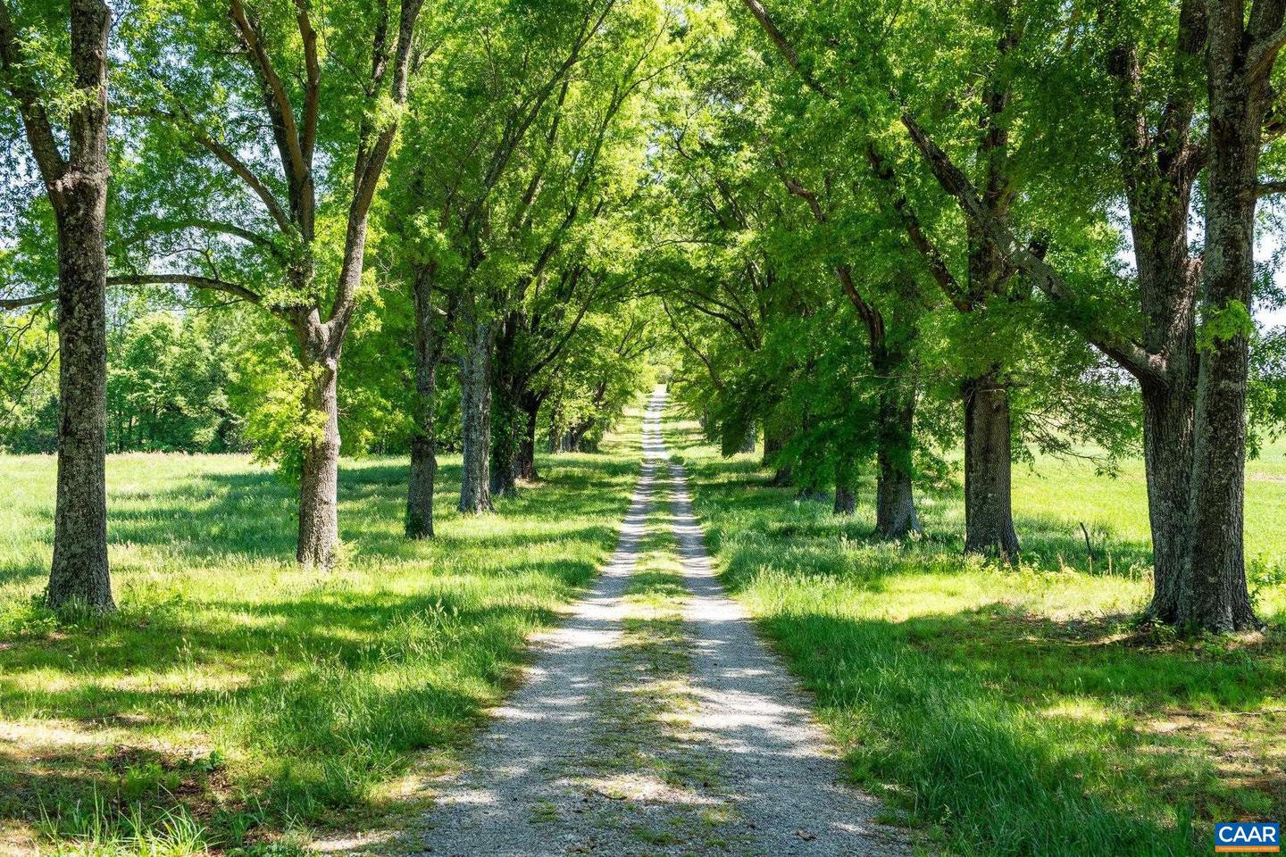 400 DOE LN, CHATHAM, Virginia 24531, 5 Bedrooms Bedrooms, ,2 BathroomsBathrooms,Farm,For Sale,400 DOE LN,664087 MLS # 664087