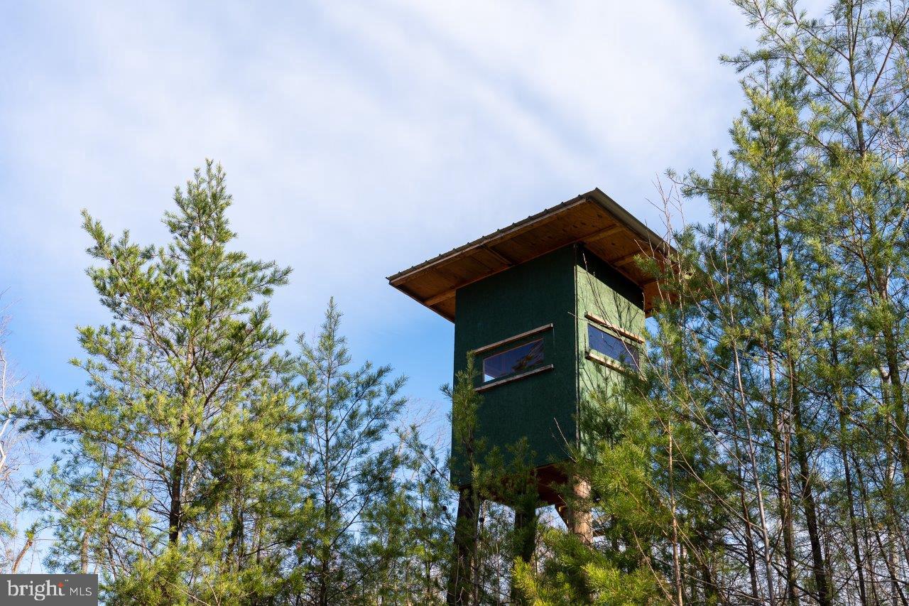 0 FOOTHILLS RD, CALLAWAY, Virginia 24067, ,Farm,For Sale,0 FOOTHILLS RD,VAFK2000082 MLS # VAFK2000082 0 FOOTHILLS RD, CALLAWAY, Virginia 24067, ,Farm,For Sale,0 FOOTHILLS RD,VAFK2000082 MLS # VAFK2000082