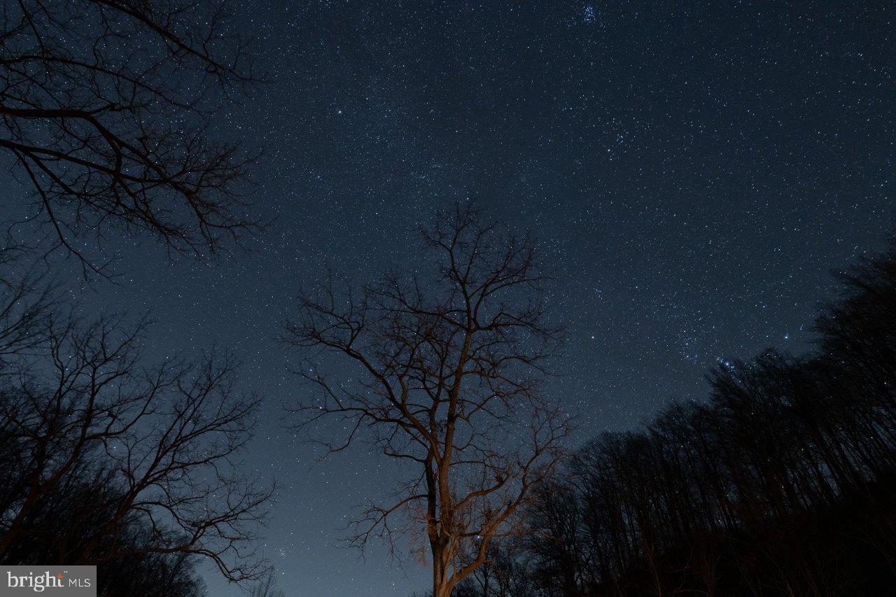 0 FOOTHILLS RD, CALLAWAY, Virginia 24067, ,Farm,For Sale,0 FOOTHILLS RD,VAFK2000082 MLS # VAFK2000082 0 FOOTHILLS RD, CALLAWAY, Virginia 24067, ,Farm,For Sale,0 FOOTHILLS RD,VAFK2000082 MLS # VAFK2000082