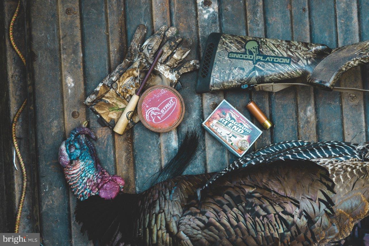 0 FOOTHILLS RD, CALLAWAY, Virginia 24067, ,Farm,For Sale,0 FOOTHILLS RD,VAFK2000082 MLS # VAFK2000082 0 FOOTHILLS RD, CALLAWAY, Virginia 24067, ,Farm,For Sale,0 FOOTHILLS RD,VAFK2000082 MLS # VAFK2000082