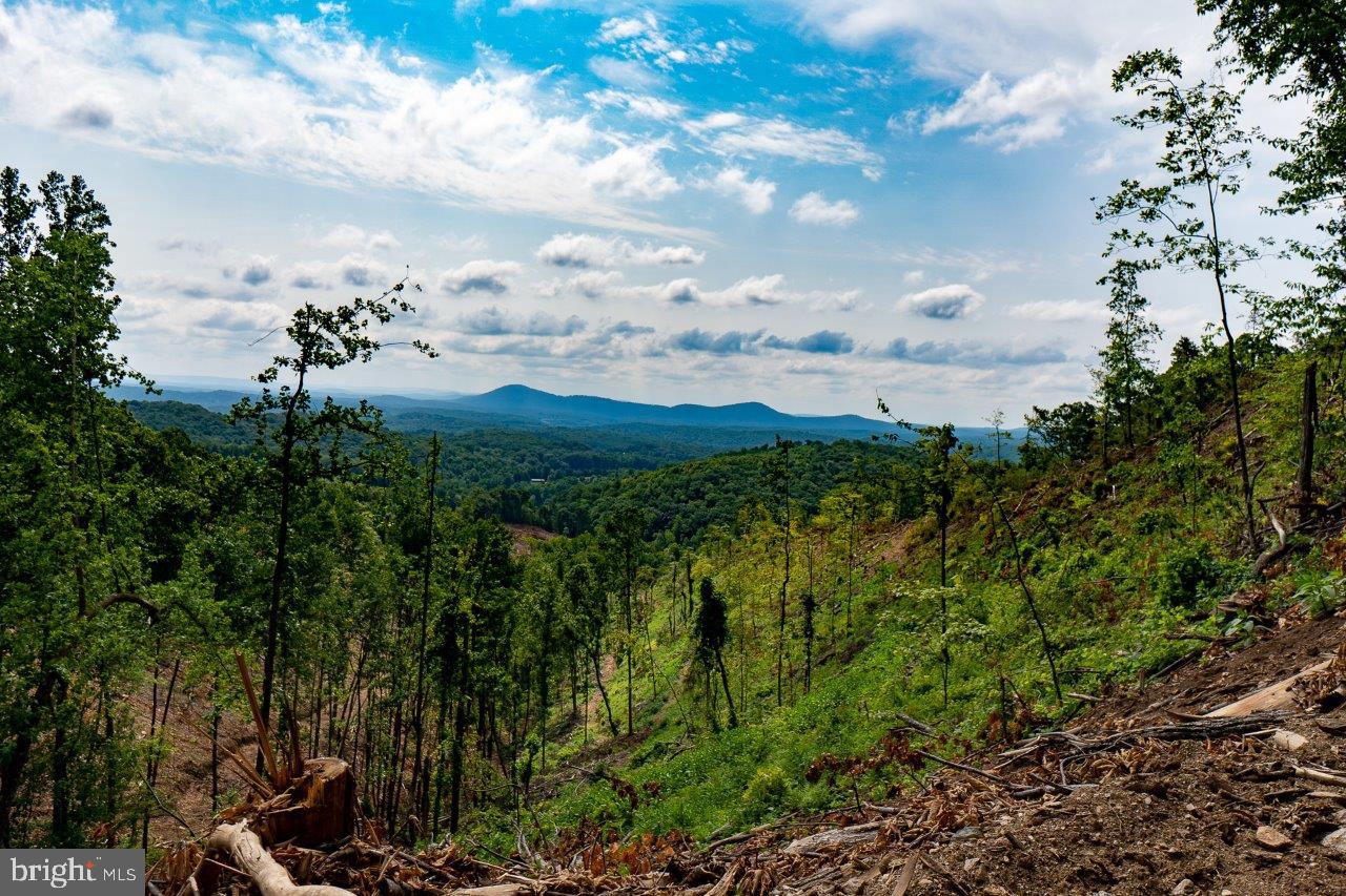 0 FOOTHILLS RD, CALLAWAY, Virginia 24067, ,Farm,For Sale,0 FOOTHILLS RD,VAFK2000082 MLS # VAFK2000082 0 FOOTHILLS RD, CALLAWAY, Virginia 24067, ,Farm,For Sale,0 FOOTHILLS RD,VAFK2000082 MLS # VAFK2000082