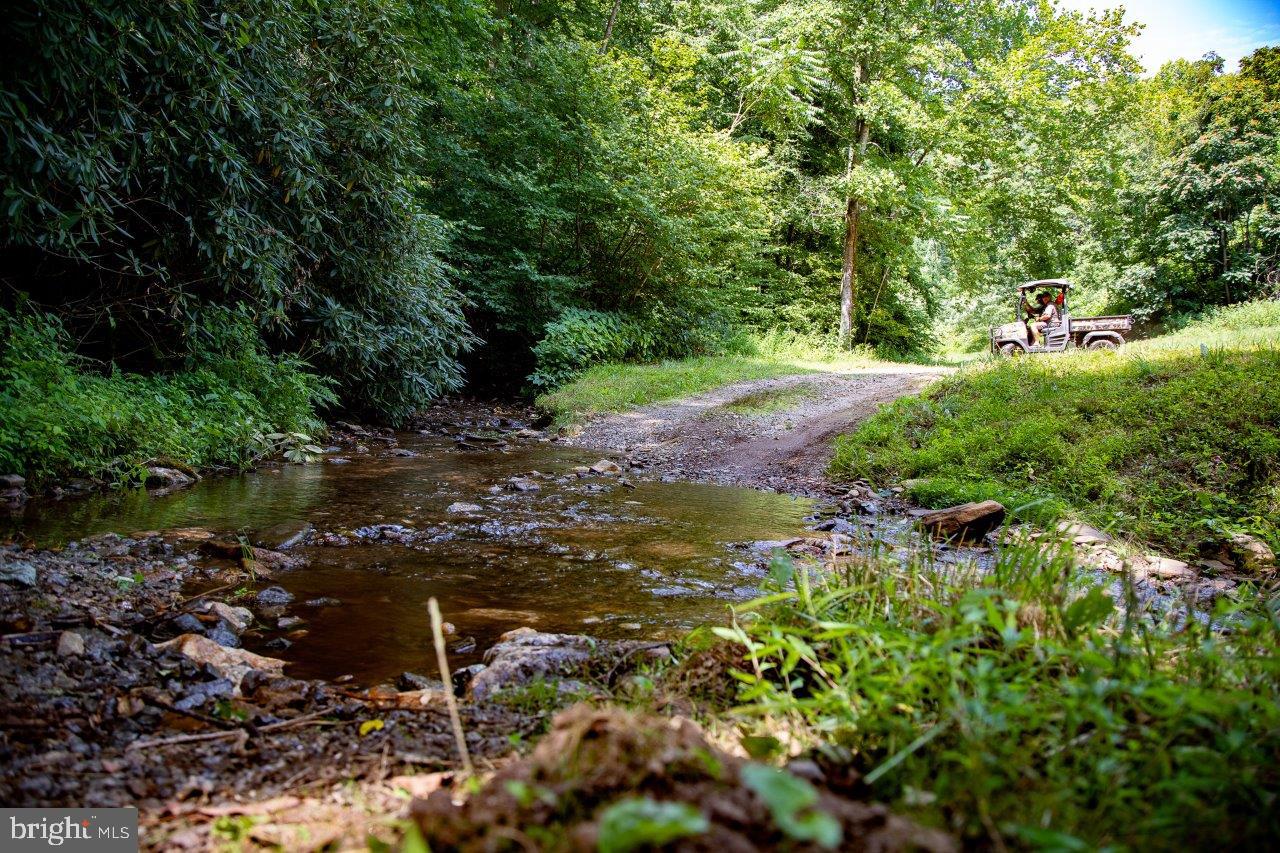 0 FOOTHILLS RD, CALLAWAY, Virginia 24067, ,Farm,For Sale,0 FOOTHILLS RD,VAFK2000082 MLS # VAFK2000082 0 FOOTHILLS RD, CALLAWAY, Virginia 24067, ,Farm,For Sale,0 FOOTHILLS RD,VAFK2000082 MLS # VAFK2000082