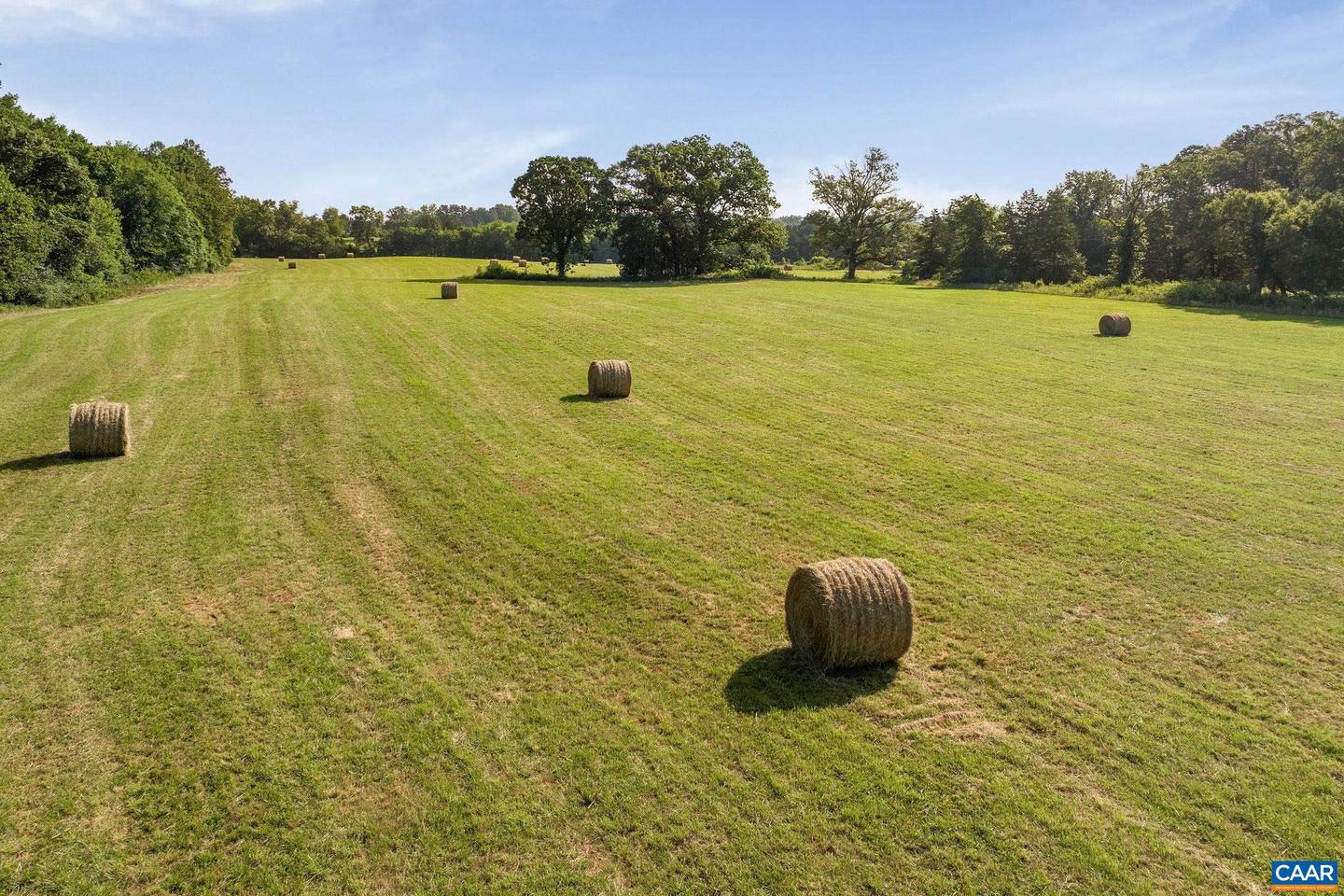 76.99 ACRES COLES ROLLING RD, SCOTTSVILLE, Virginia 24590, 4 Bedrooms Bedrooms, ,3 BathroomsBathrooms,Residential,For Sale,76.99 ACRES COLES ROLLING RD,667328 MLS # 667328