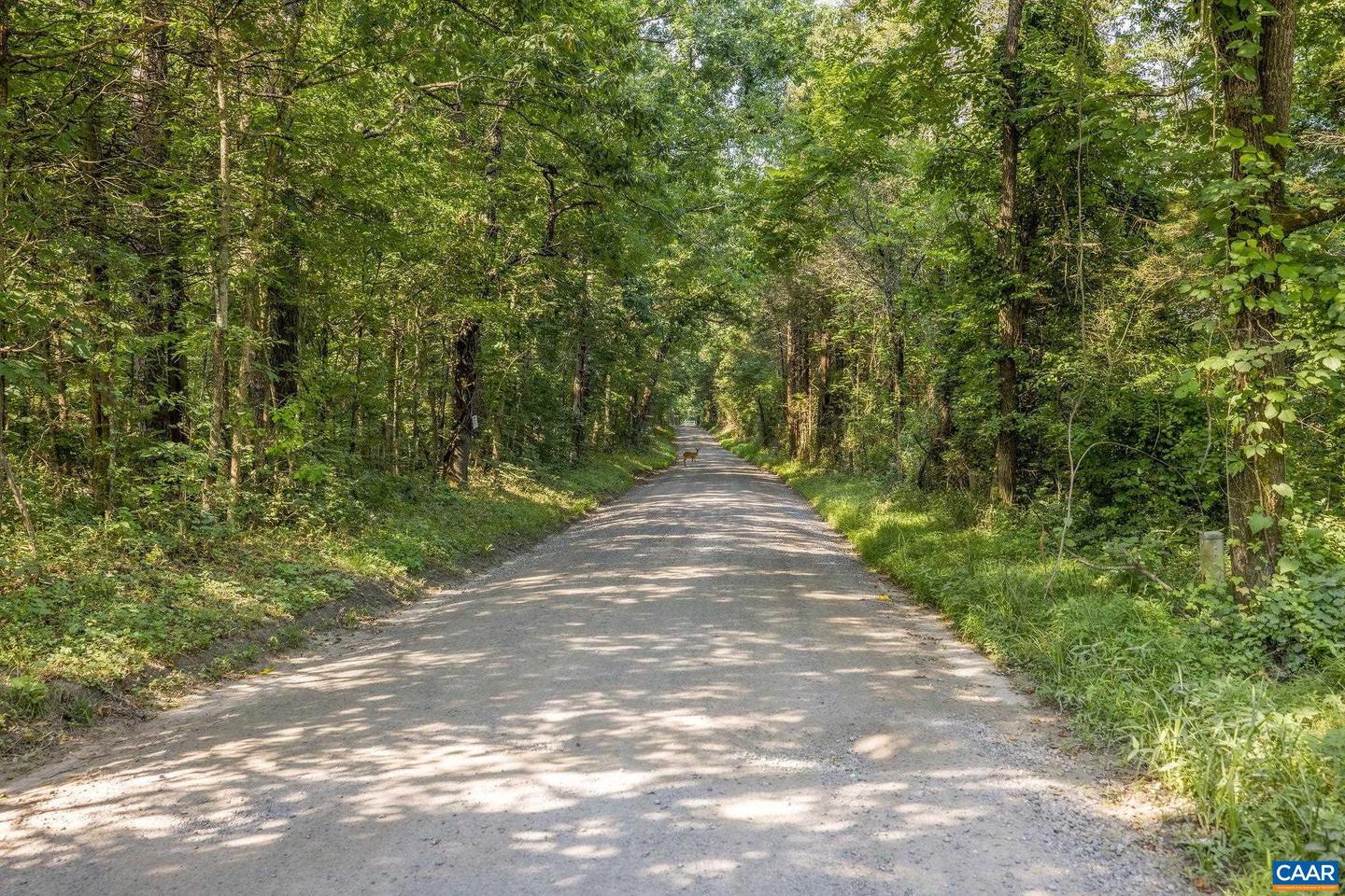 76.99 ACRES COLES ROLLING RD, SCOTTSVILLE, Virginia 24590, 4 Bedrooms Bedrooms, ,3 BathroomsBathrooms,Residential,For Sale,76.99 ACRES COLES ROLLING RD,667328 MLS # 667328