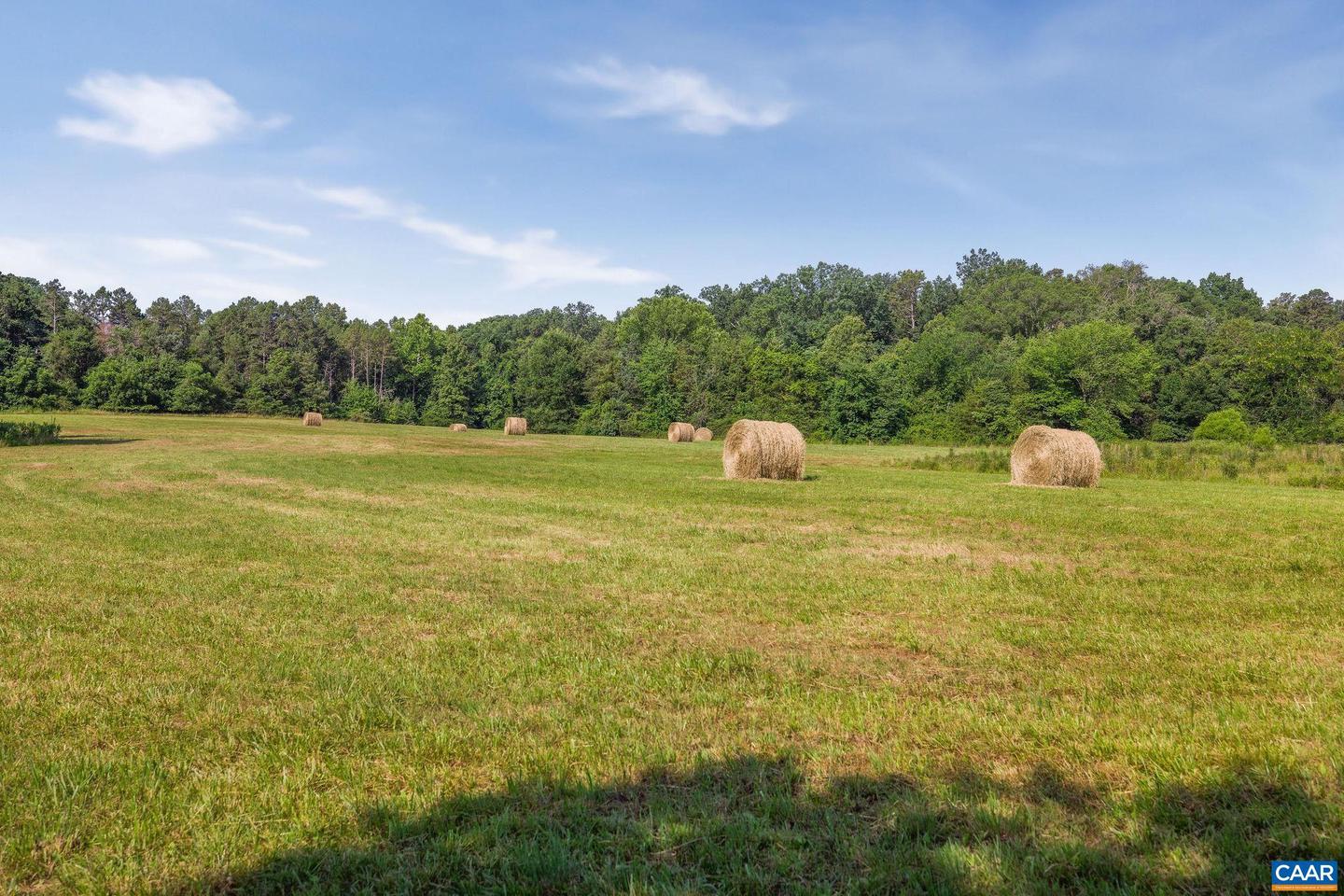 76.99 ACRES COLES ROLLING RD, SCOTTSVILLE, Virginia 24590, 4 Bedrooms Bedrooms, ,3 BathroomsBathrooms,Residential,For Sale,76.99 ACRES COLES ROLLING RD,667328 MLS # 667328