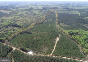 SHIPPING ROAD (TRACT: 7279 SVC), DINWIDDIE, Virginia 23841, ,Farm,For Sale,SHIPPING ROAD (TRACT: 7279 SVC),VADW2000048 MLS # VADW2000048 SHIPPING ROAD (TRACT: 7279 SVC), DINWIDDIE, Virginia 23841, ,Farm,For Sale,SHIPPING ROAD (TRACT: 7279 SVC),VADW2000048 MLS # VADW2000048